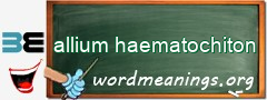 WordMeaning blackboard for allium haematochiton